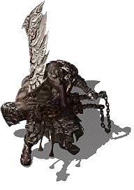 13.webp
