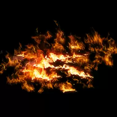 01652.webp