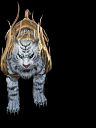 00041.webp