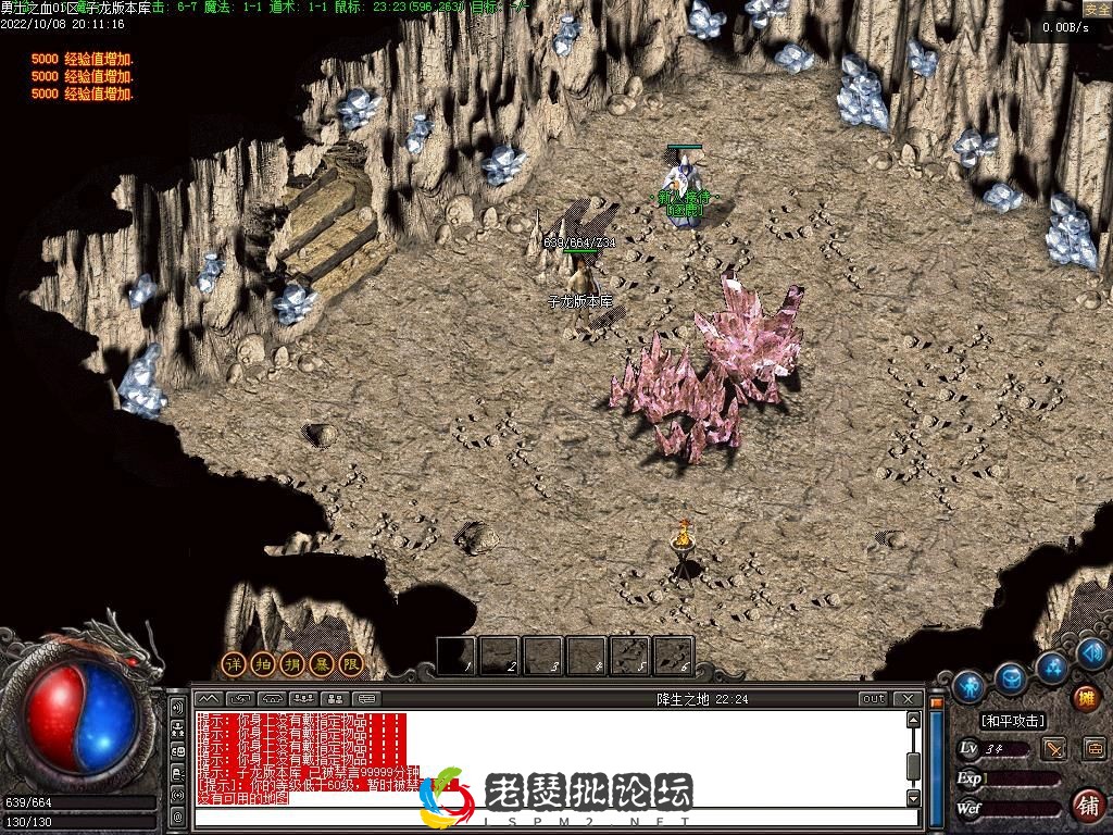 image.webp