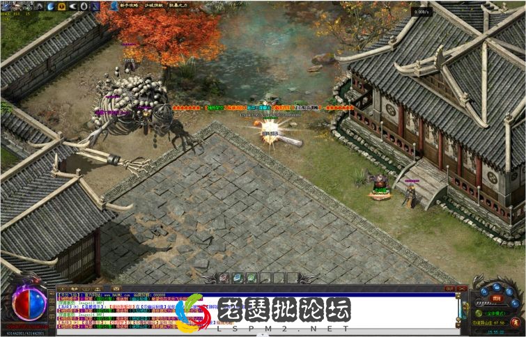 5.webp