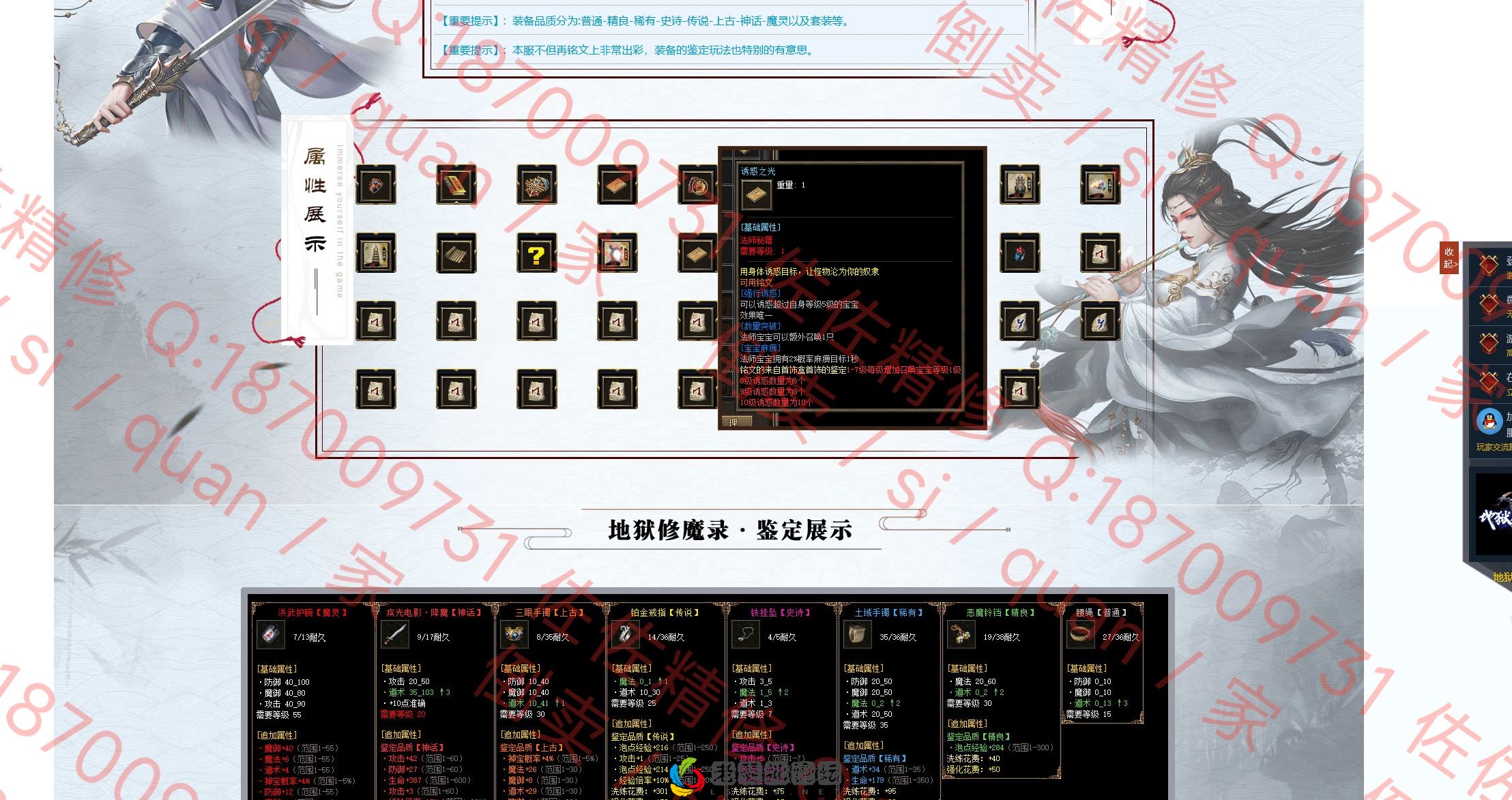 网站2.webp