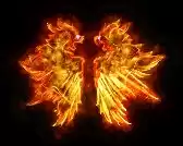 004800.webp
