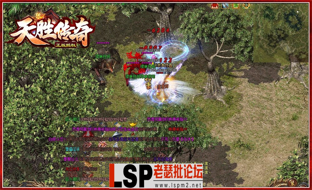 8.webp