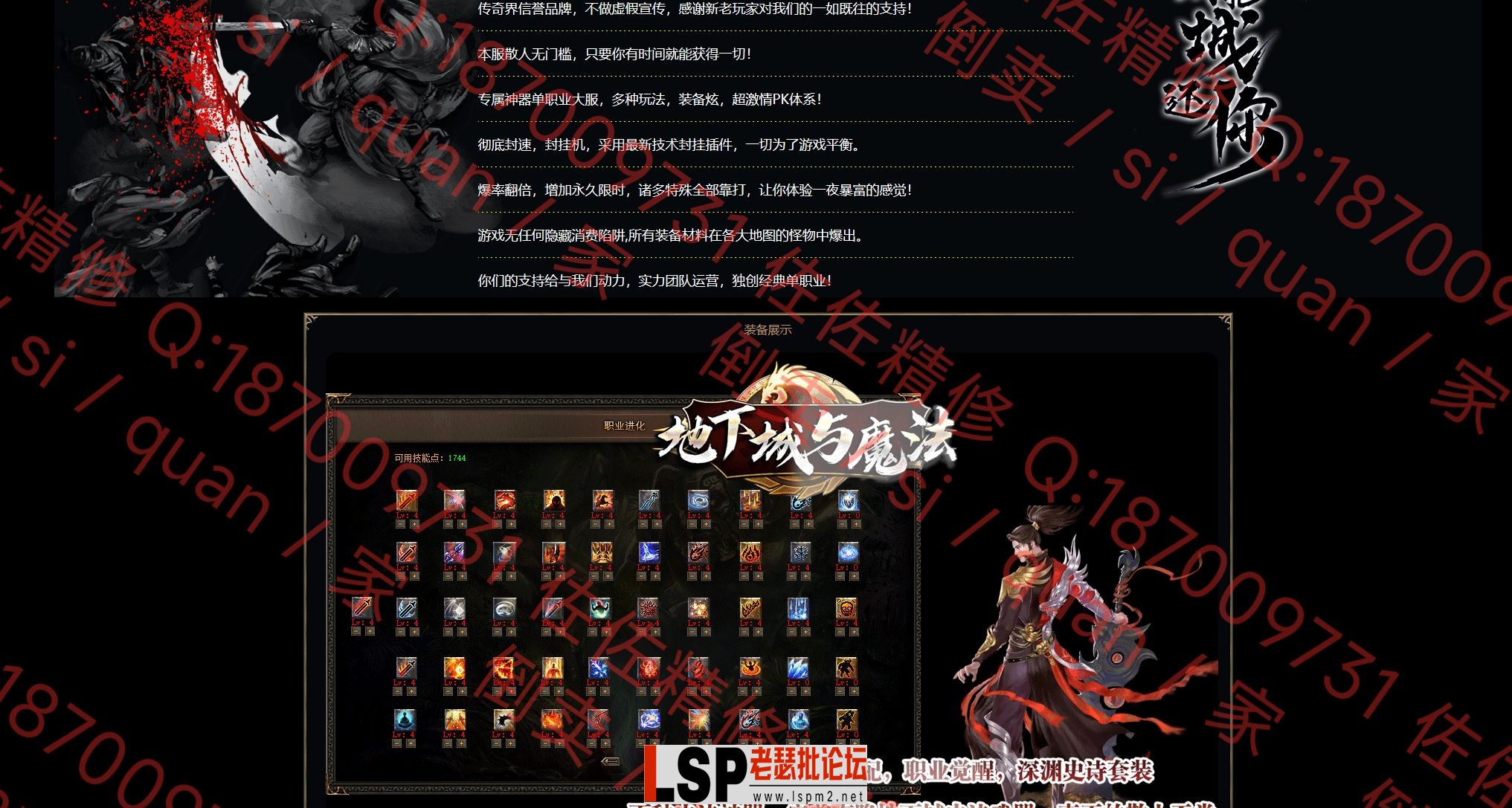 网站2.webp