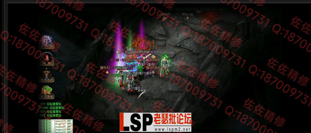 网站2.webp