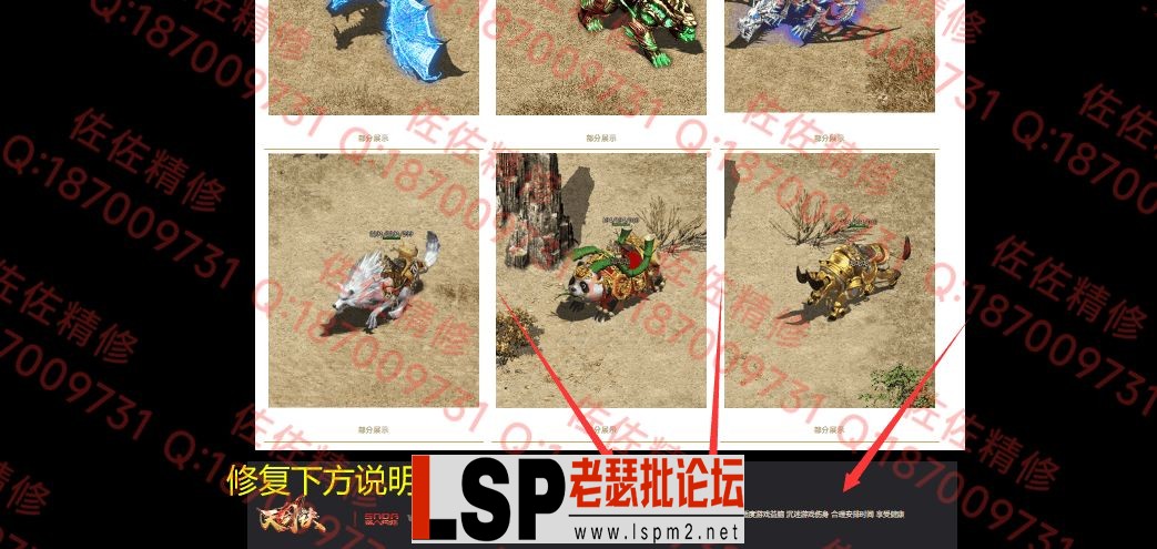 网站2.webp