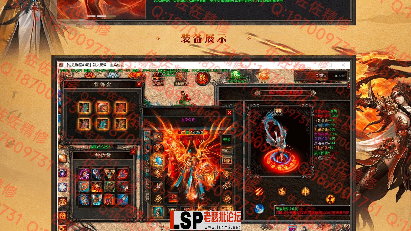 网站2.webp