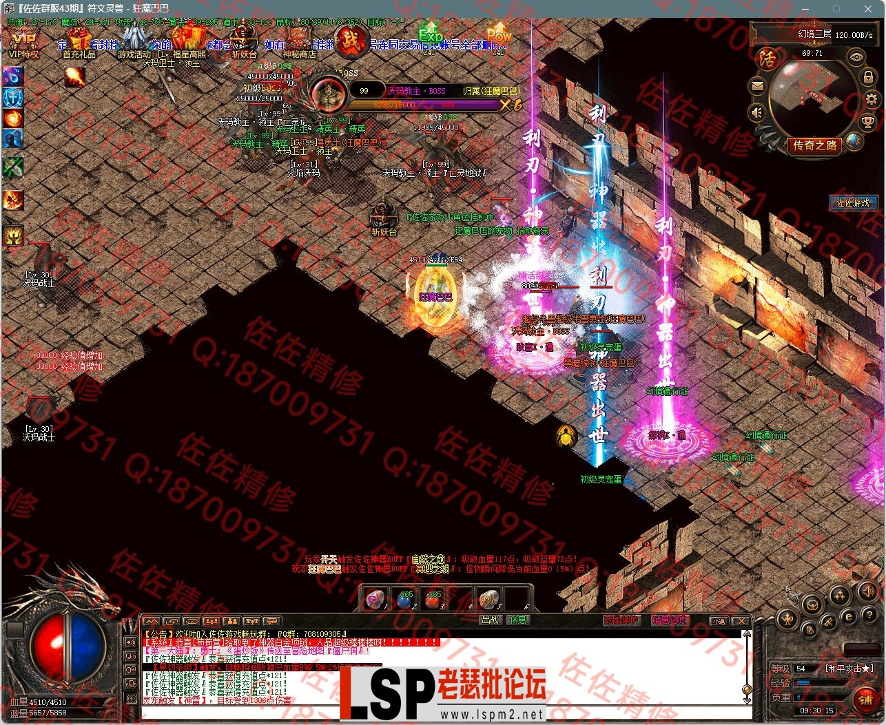 14.webp