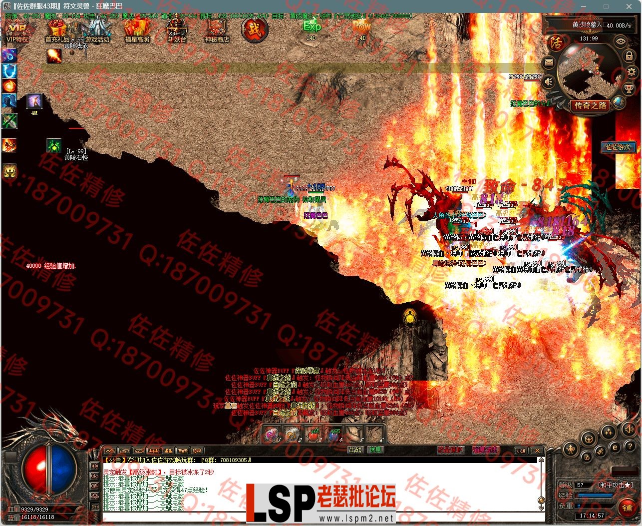 17.webp