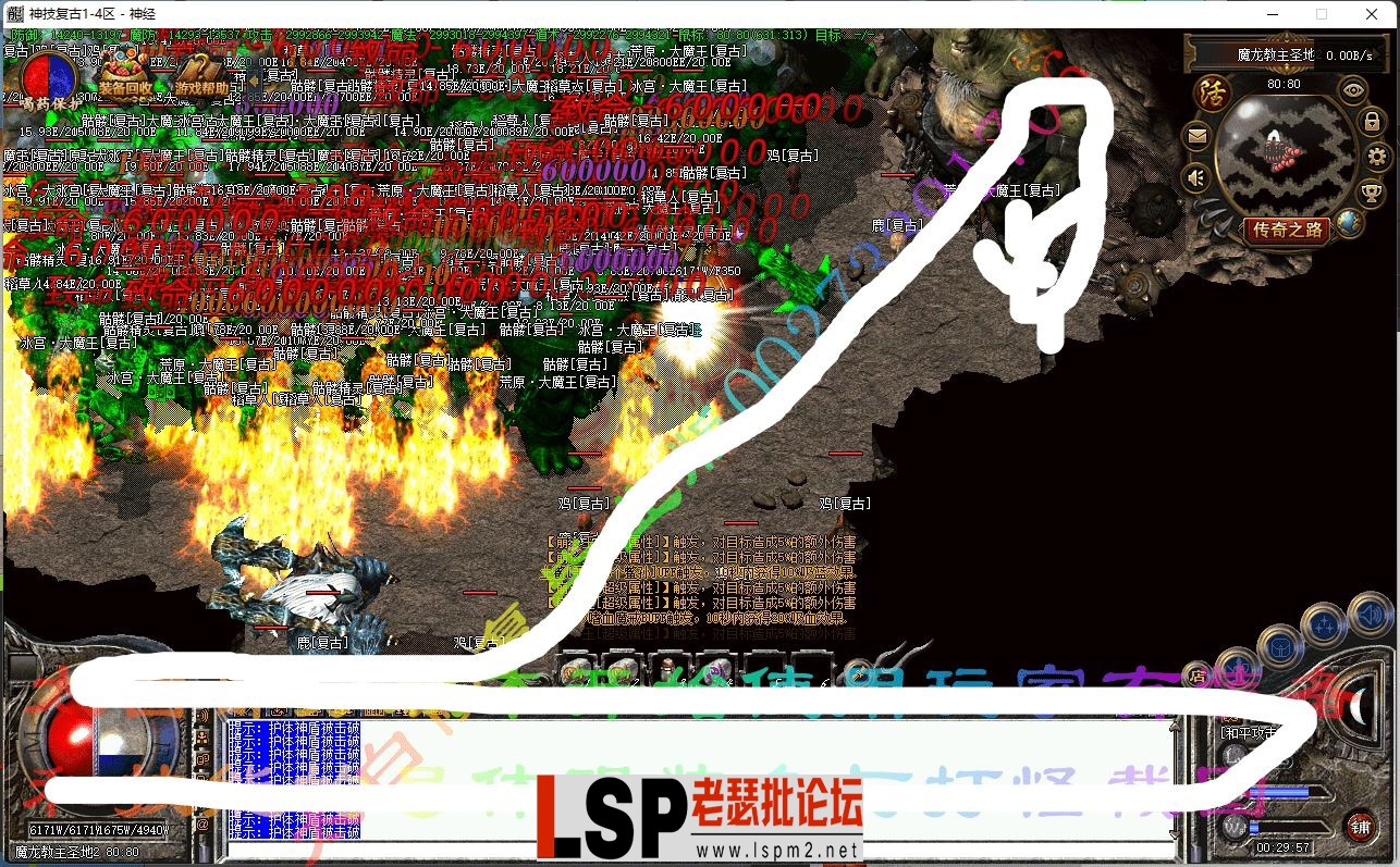 7.webp