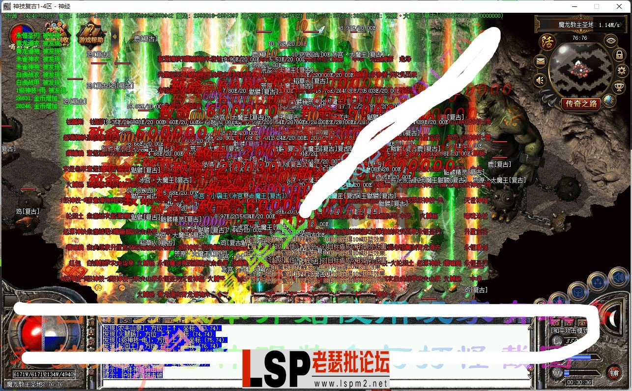 8.webp