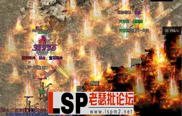 15.webp
