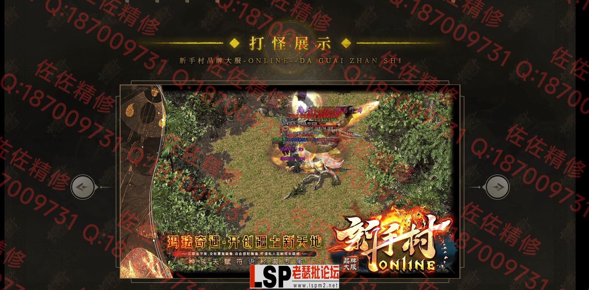 网站4.webp