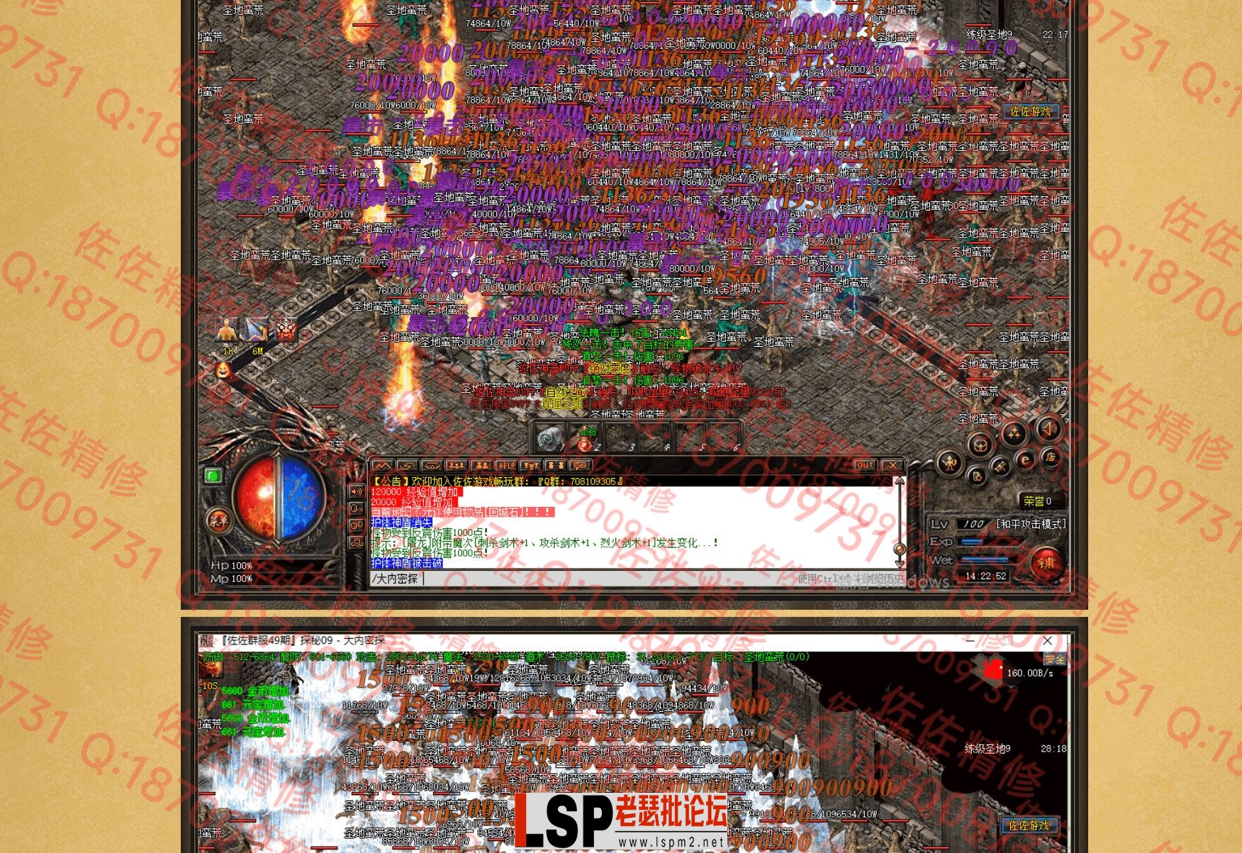 网站4.webp