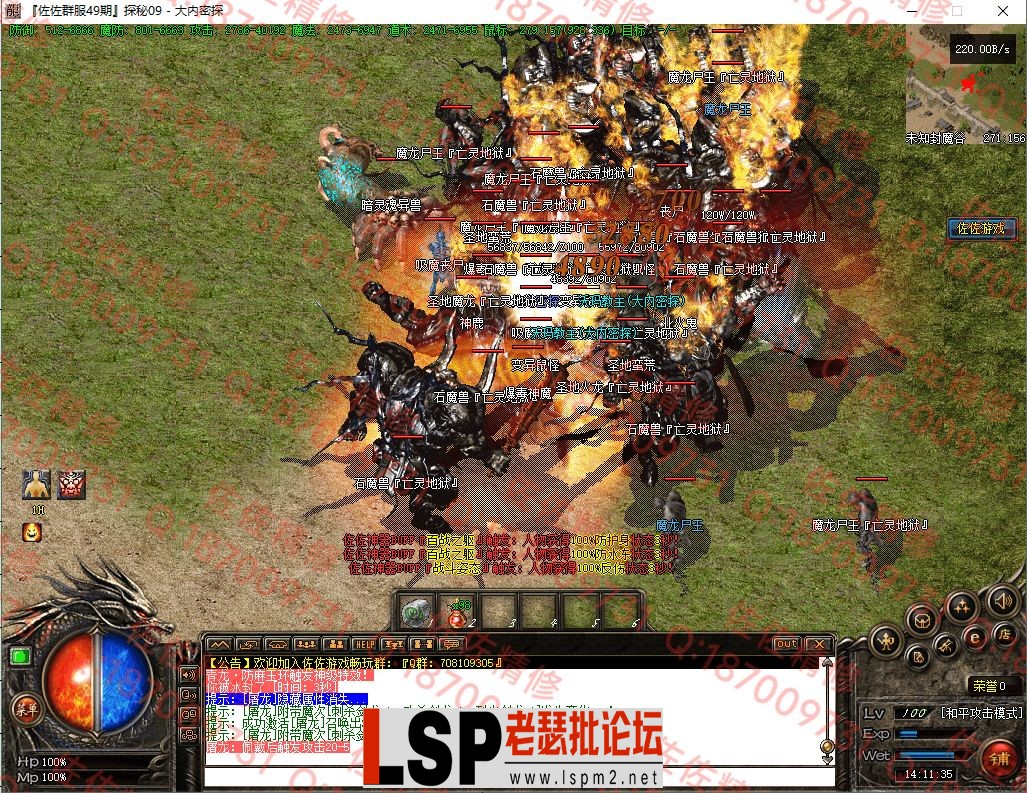 33.webp