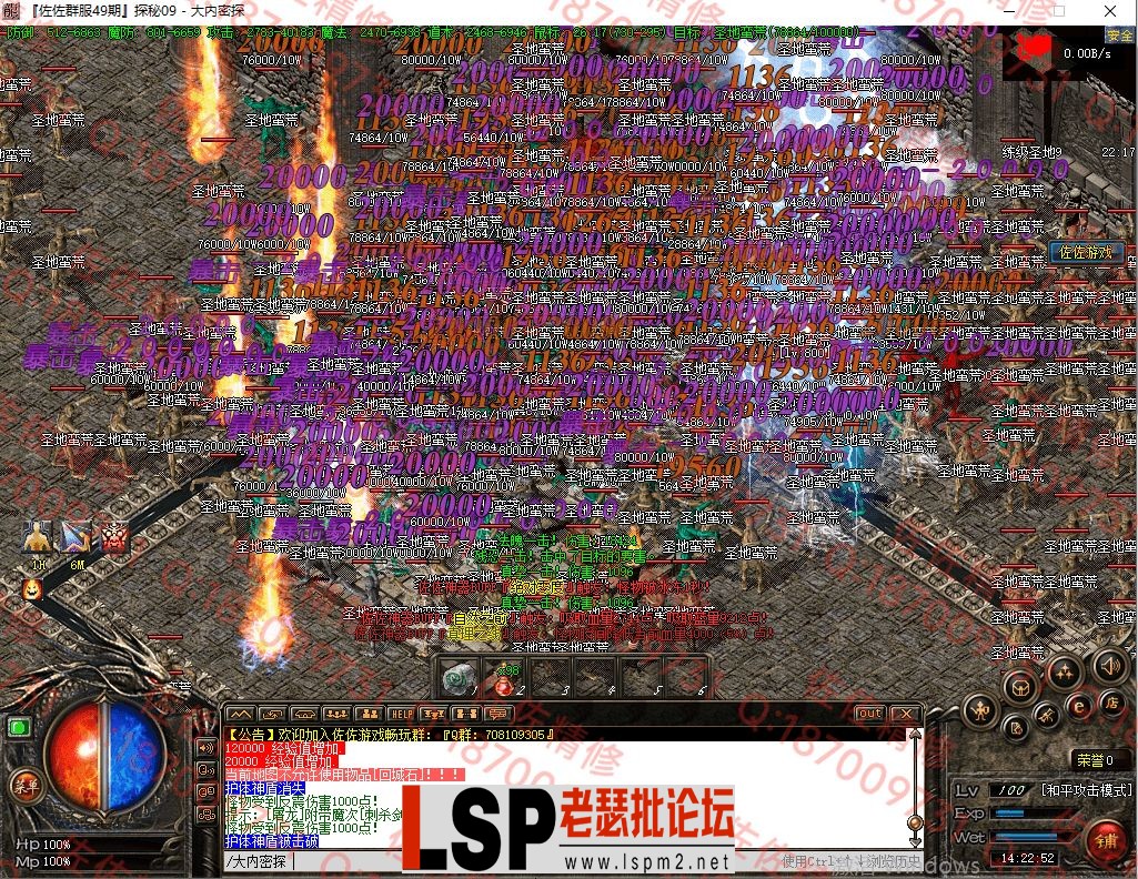 35.webp