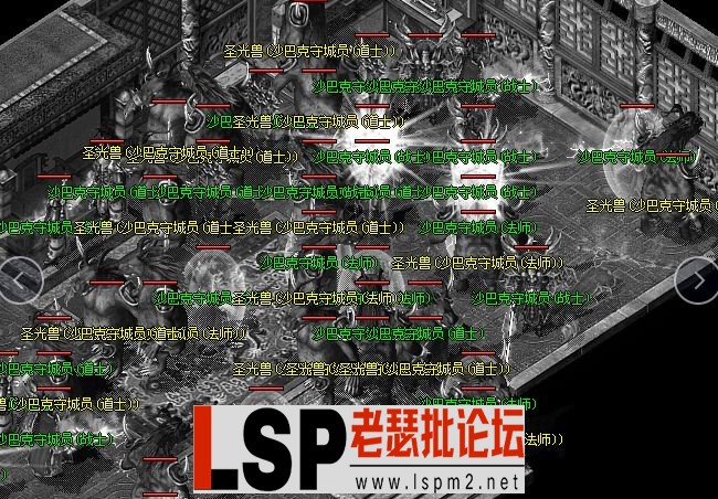 17.webp