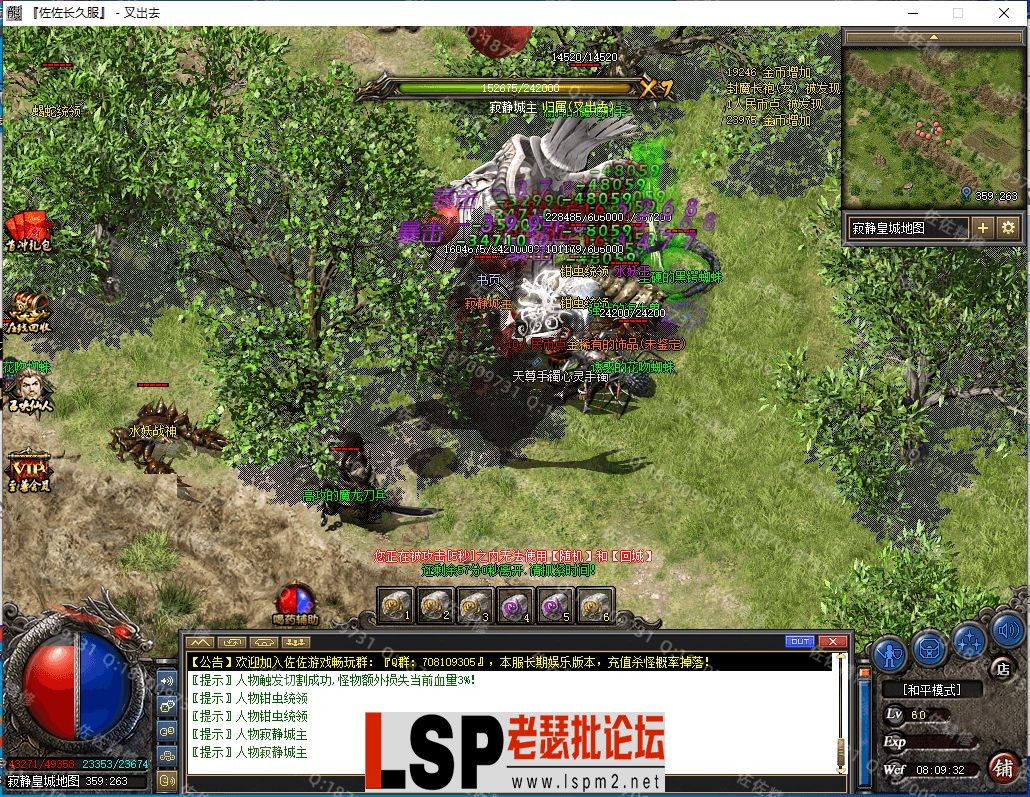 25.webp