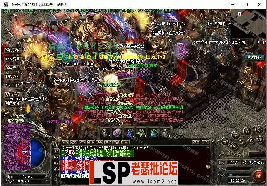 8.webp