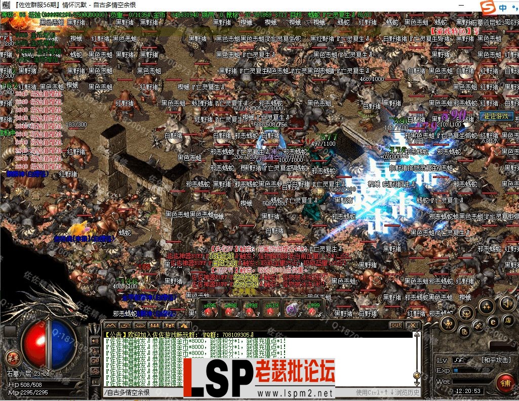 7.webp