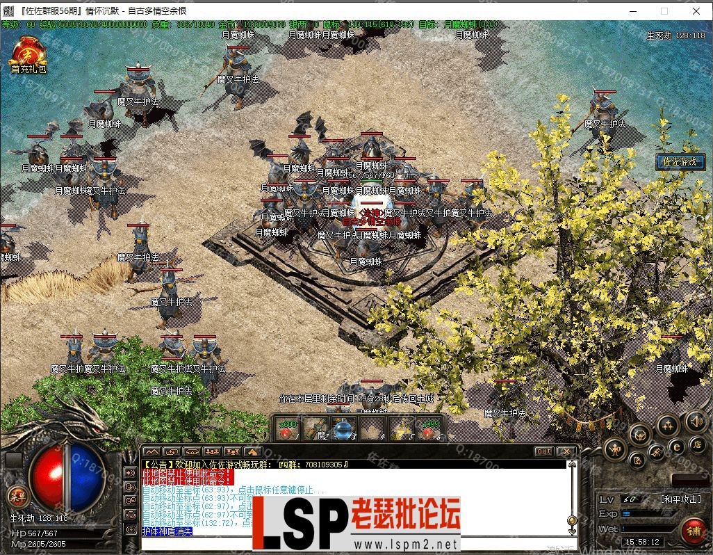 15.webp