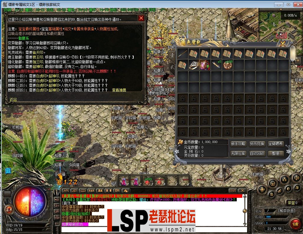 11.webp