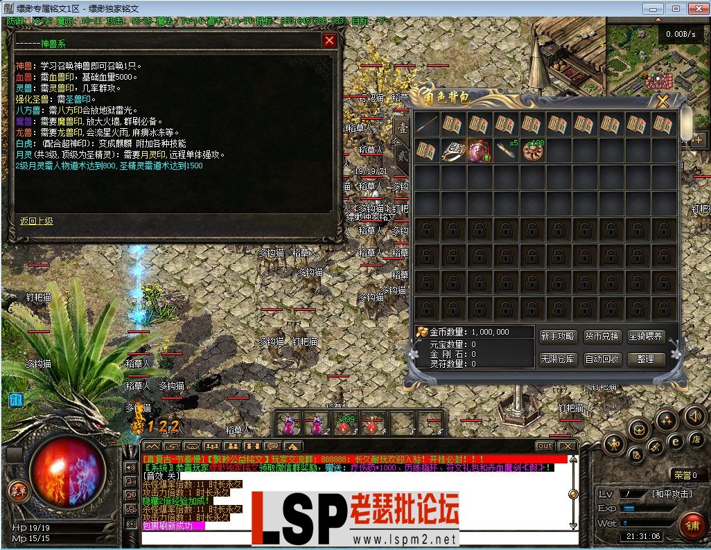 12.webp