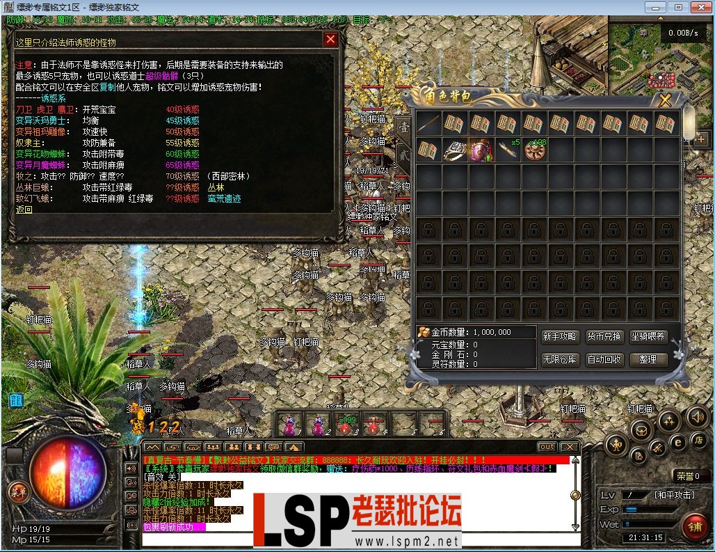 13.webp