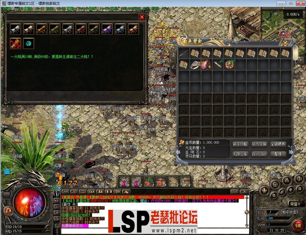 14.webp