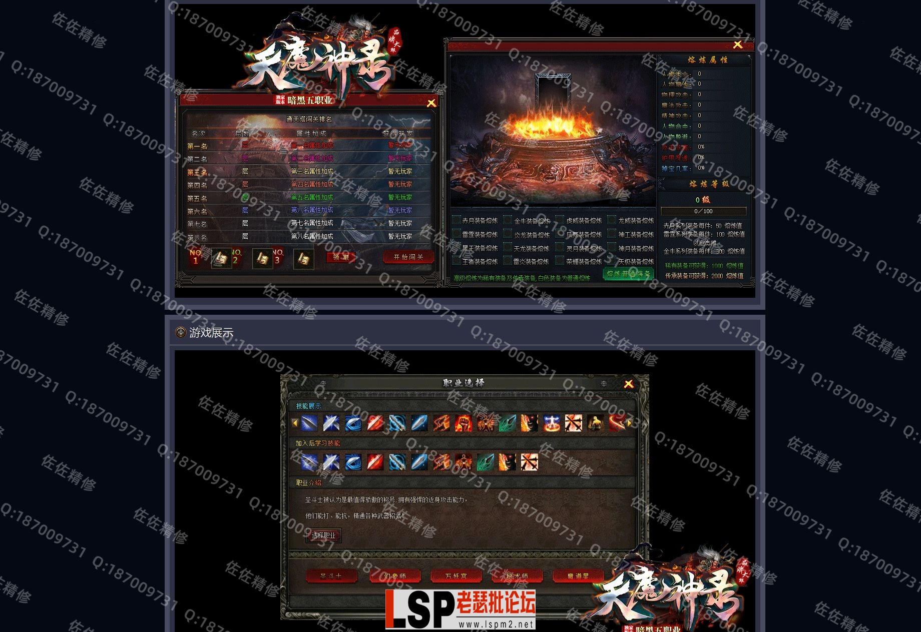网站2.webp