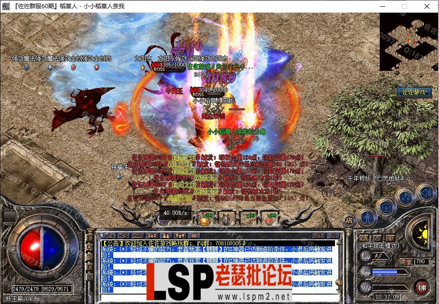 24.webp