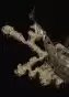06350.webp