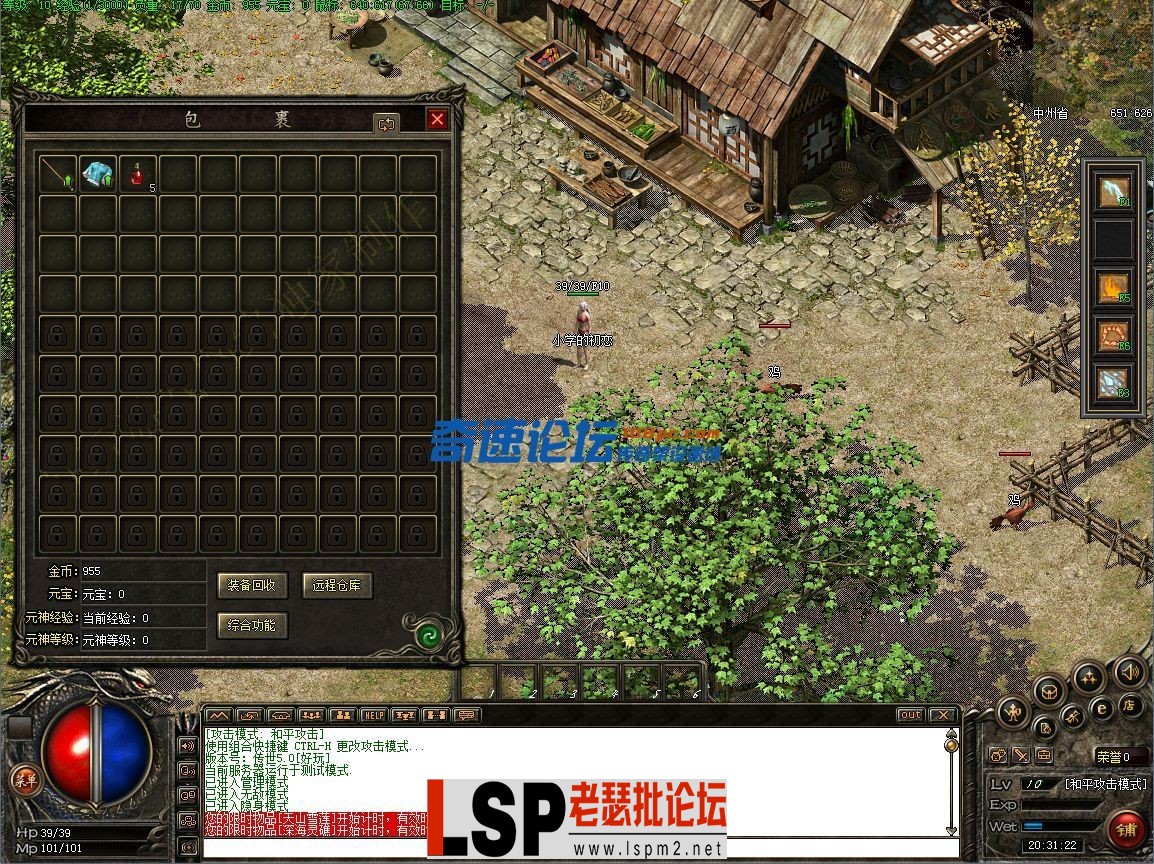 3.webp