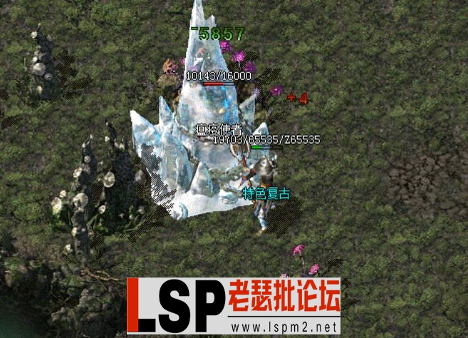 QQ截图20240509175238.webp