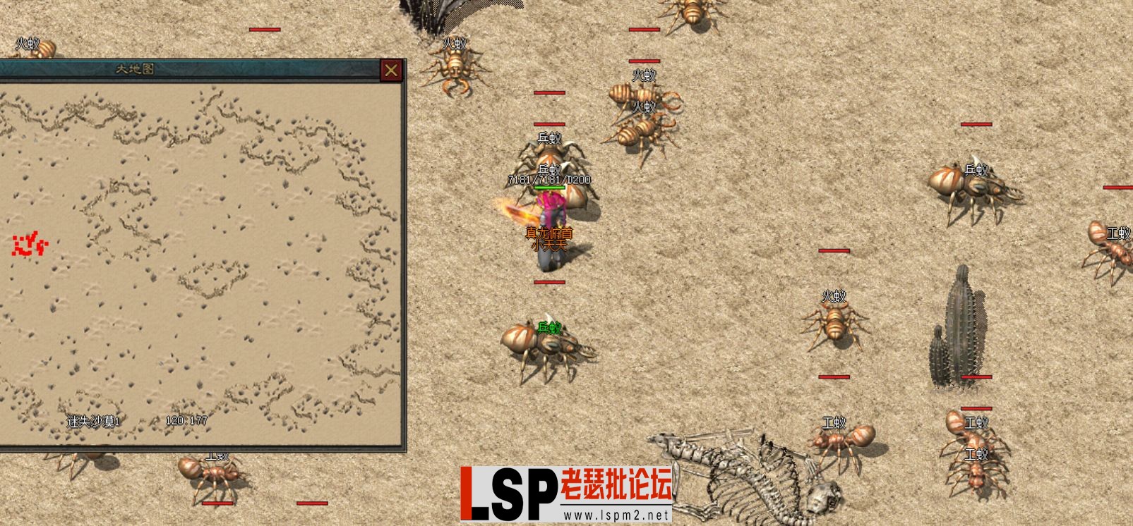 QQ截图20240514000530.webp