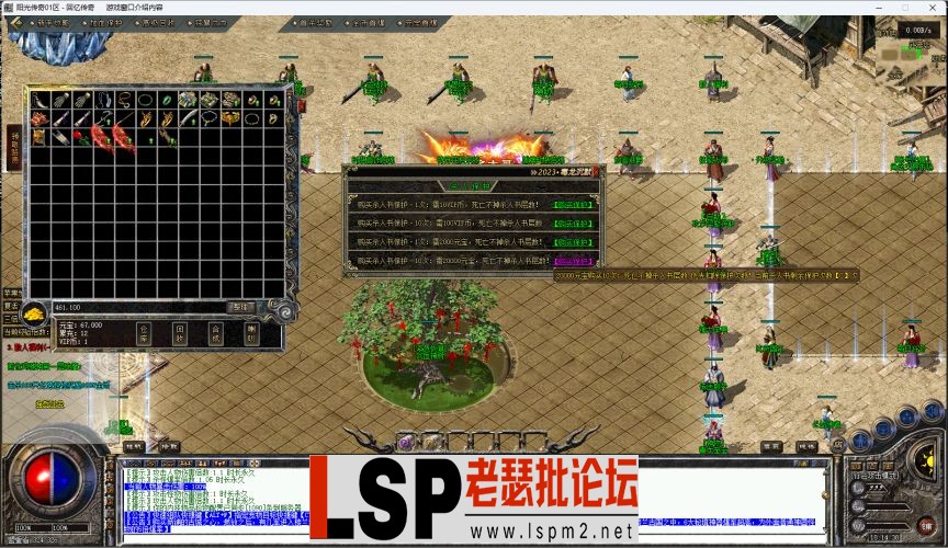 35.webp