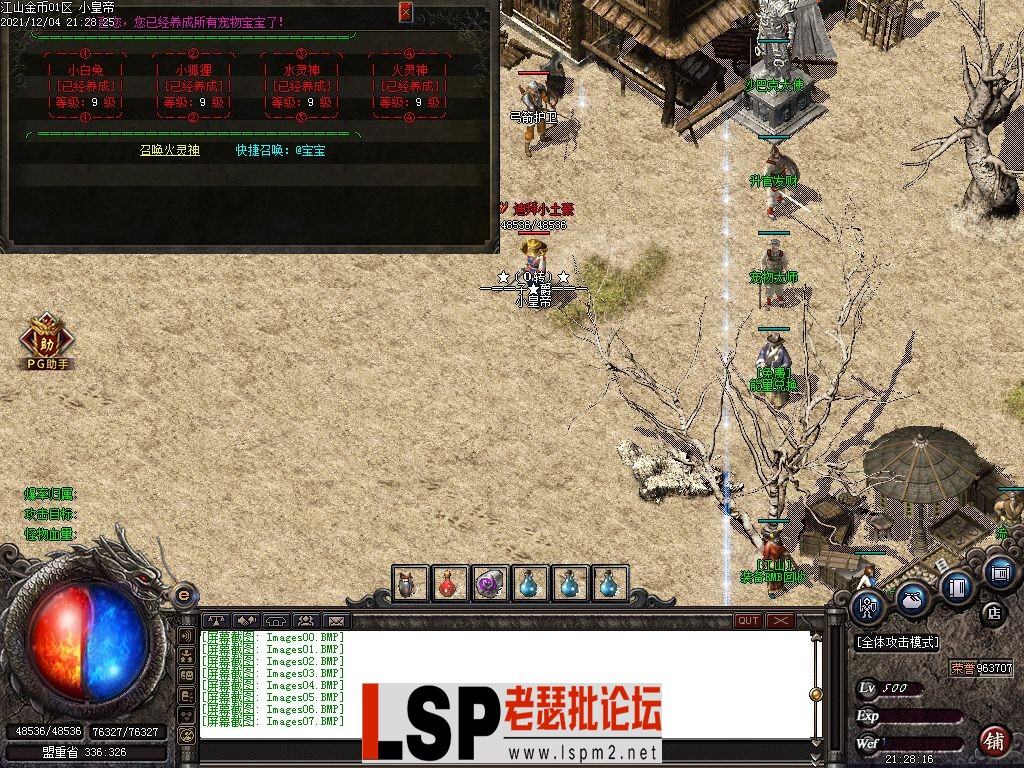 12.6更新江山复古-九重技能-通天塔-挖宝-宠物升级-PG_鸿盾_...·-亲测传奇版本_2.webp