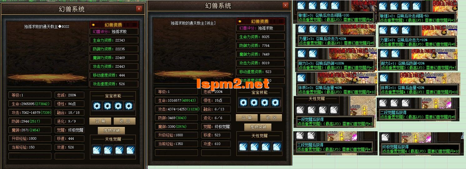 20.webp