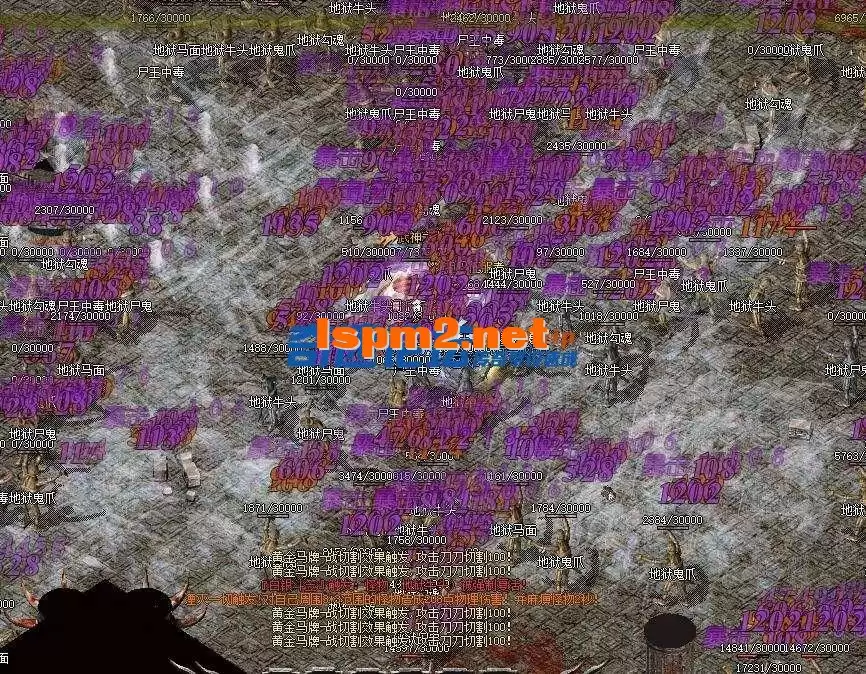 004338jgbk6y4y63szgrw4.webp
