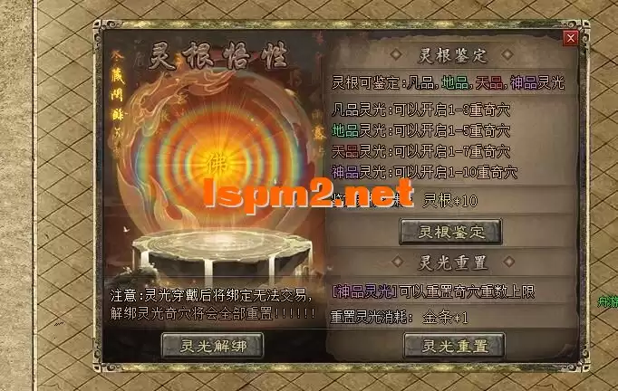 16.webp