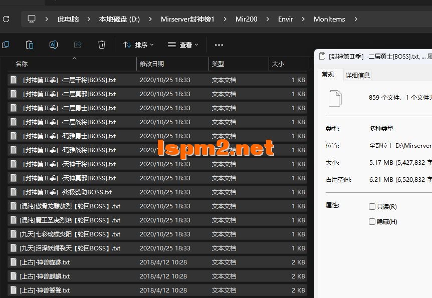 5.webp