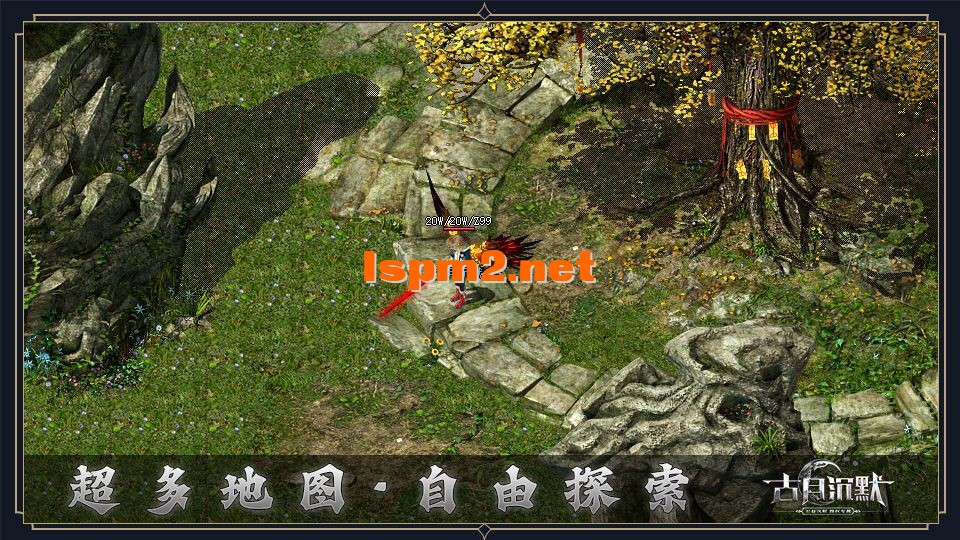 dt10.webp