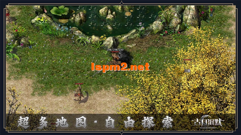 dt13.webp