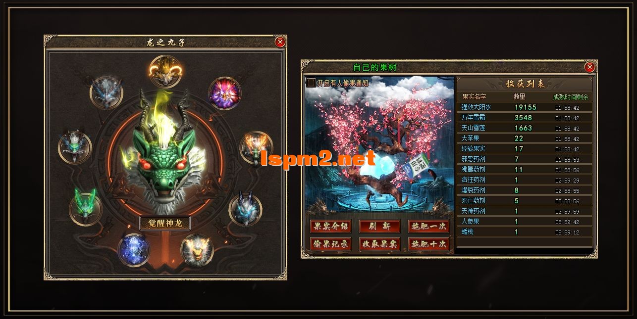 gn2.webp