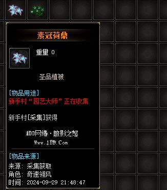 33.webp