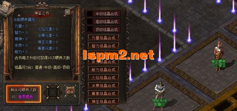 13.webp