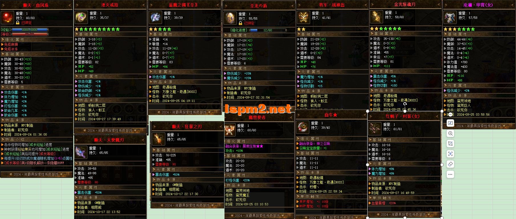 13.webp