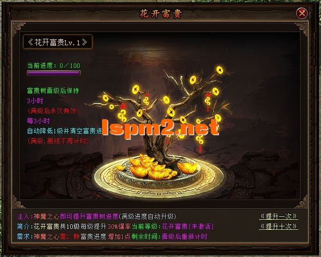 11.webp