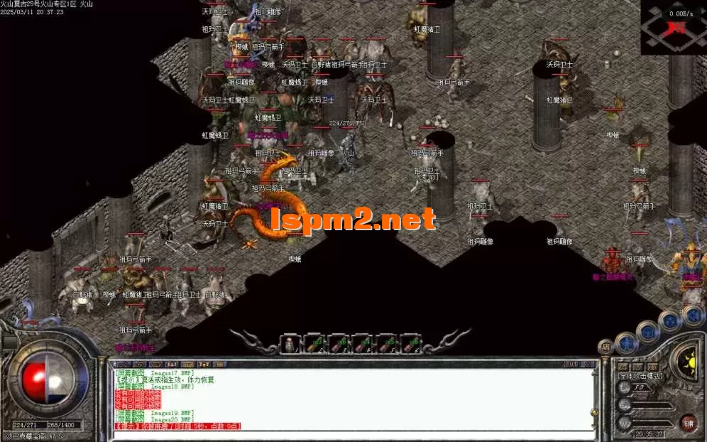 Images21.BMP.webp